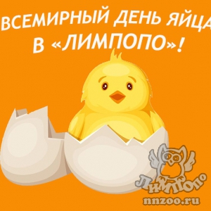 Зоопарк "Лимпопо" приглашает на бесплатную лекцию!