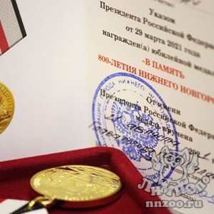 Директор зоопарка «Лимпопо» получил награду от имени Президента РФ