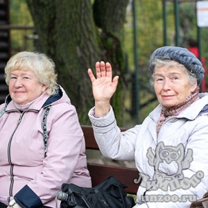 Акция «Нам года — не беда» прошла в зоопарке «Лимпопо»