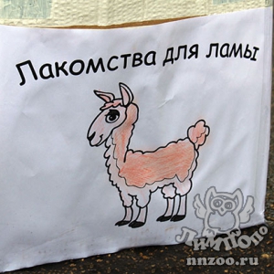 Персональные угощения приготовили для обитателей «Лимпопо» ученики школы №149