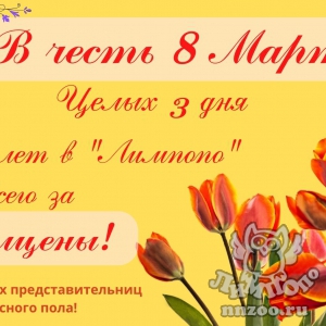 Трехдневной скидкой порадует женщин зоопарк «Лимпопо» в честь 8 Марта!