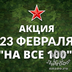 Акцию «На все 100!» проведет зоопарк «Лимпопо» в честь Дня защитника Отечества