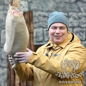 Съемочная группа авторской программы «Диалоги о животных» приехала в «Лимпопо»