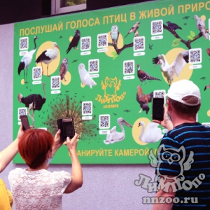 Технологию дополненной реальности запустил зоопарк «Лимпопо» для своих посетителей