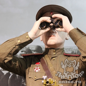 Акцию «На все 100!» проведет зоопарк «Лимпопо» в честь Дня защитника Отечества