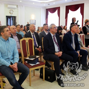 Зоопарк «Лимпопо» стал победителем конкурса на лучшее праздничное оформление «Новогодний Нижний -2023»