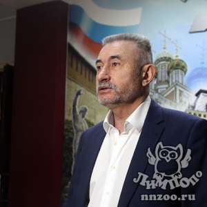 Зоопарк «Лимпопо» стал победителем конкурса на лучшее праздничное оформление «Новогодний Нижний -2023»