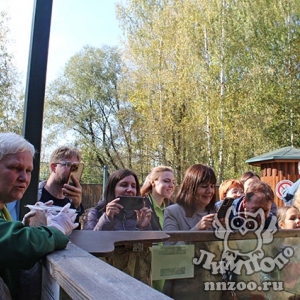 День опекуна прошел в зоопарке «Лимпопо»
