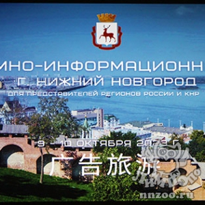 Зоопарк «Лимпопо» выступил с презентацией для китайских туроператоров