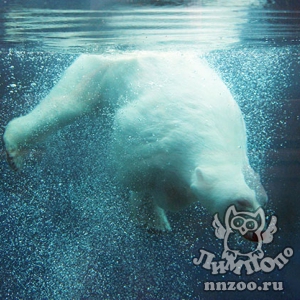 ВОДНЫЕ ПРОЦЕДУРЫ