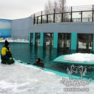 ВОДНЫЕ ПРОЦЕДУРЫ