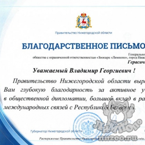 Владимир Герасичкин награжден Благодарностью правительства Нижегородской области