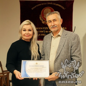 Владимир Герасичкин награжден Благодарностью правительства Нижегородской области