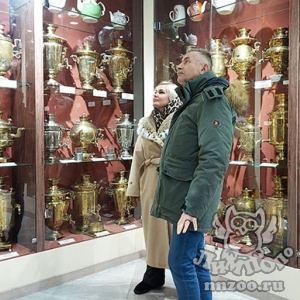 Владимир Герасичкин награжден Благодарностью правительства Нижегородской области