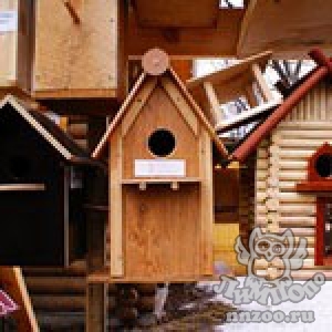Птицы Нижегородской области получат доступное жилье