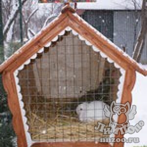 Новогодний кролик исполнит желания посетителей "Лимпопо"