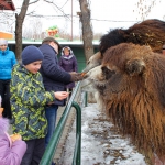 Верблюд 8.3.15