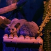 Толстохвостый галаго (Otolemur crassicaudatus)