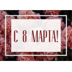 Трехдневной скидкой порадует женщин зоопарк «Лимпопо» в честь 8 Марта!
