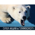 Обладатели имен на «Б» и «Ю» смогут посетить зоопарк «Лимпопо» за полцены