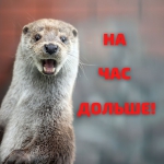 Зоопарк "Лимпопо" перешел на летний режим работы!