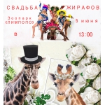 Зоопарк "Лимпопо" приглашает на финальный день свадьбы жирафов