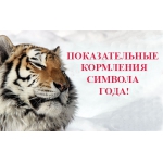 Показательные кормления символа года пройдут в "Лимпопо"