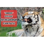 АКТУАЛЬНЫЙ ГРАФИК РАБОТЫ "ЛИМПОПО" НА ВЕСЕННИЙ ПЕРИОД 2025 ГОДА