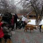 Нубийские козы к зиме принарядились