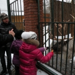 Опекуны угощают оленя лакомствами