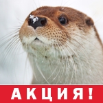 АКЦИЯ: скидка 50% для обладателей имён на букву "А" и "К"