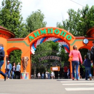 День города 2015