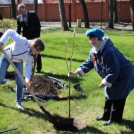 Закладка аллеи Победы в Балахне