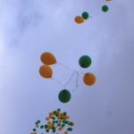На смену улетевшим шарикам в новые жилища должны прилететь пернатые друзья