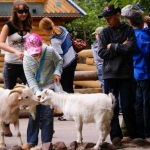 День защиты детей в зоопарке "Лимпопо"