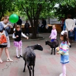 День защиты детей в зоопарке "Лимпопо"