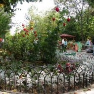 Прогулка по зоопарку