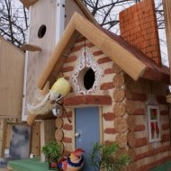 День птиц в "Лимпопо"-2012