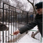 День милиции пройдет в зоопарке "Лимпопо"