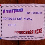 Нижегородцы узнают больше о представителях семейства кошачьих