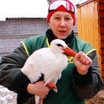 В зоопарке «Лимпопо» павлинов и аистов теперь можно будет увидеть даже зимой