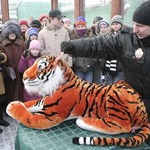 Уссурийская тигрица получила имя