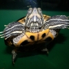 Красноухая черепаха (Trachemys scripta)