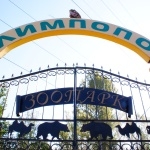 Пенсионеры смогут бесплатно посетить "Лимпопо"