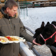 Кормление животных блинами 2018